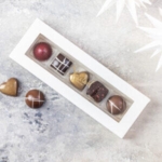 Christiansfelder Star 5