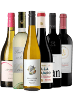 Vinrejse gennem Europa - Greve Vinkompagni