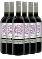 Castaño Dominio Espinal Monastrell – Yecla - Greve Vinkompagni