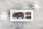 Xocolatl Piggy family