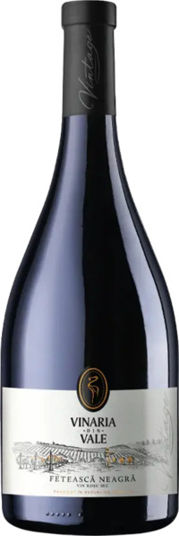 Vinaria din Vale Feteasca Vintage Neagra, Moldova