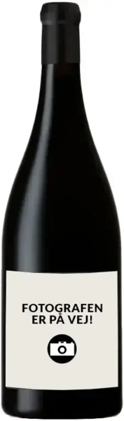 Ledy Vines Nuits-Saint-Georges 2023 "Coteau des Bois"