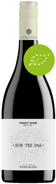 Sur Tes Pas Pinot Noir IGP 2024 - Greve Vinkompagni