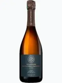 Champagne Allouchery-Perseval 2015 Extra-Brut