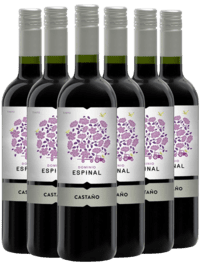 Castaño Dominio Espinal Monastrell – Yecla - Greve Vinkompagni