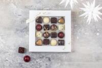 Xocolatl Christiansfelder star 16