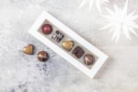 Xocolatl Christiansfelder star 5