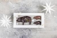 Xocolatl Piggy family