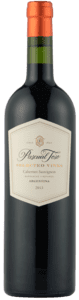 Pascual Toso Cabernet Sauvignon Selected Vines 2016